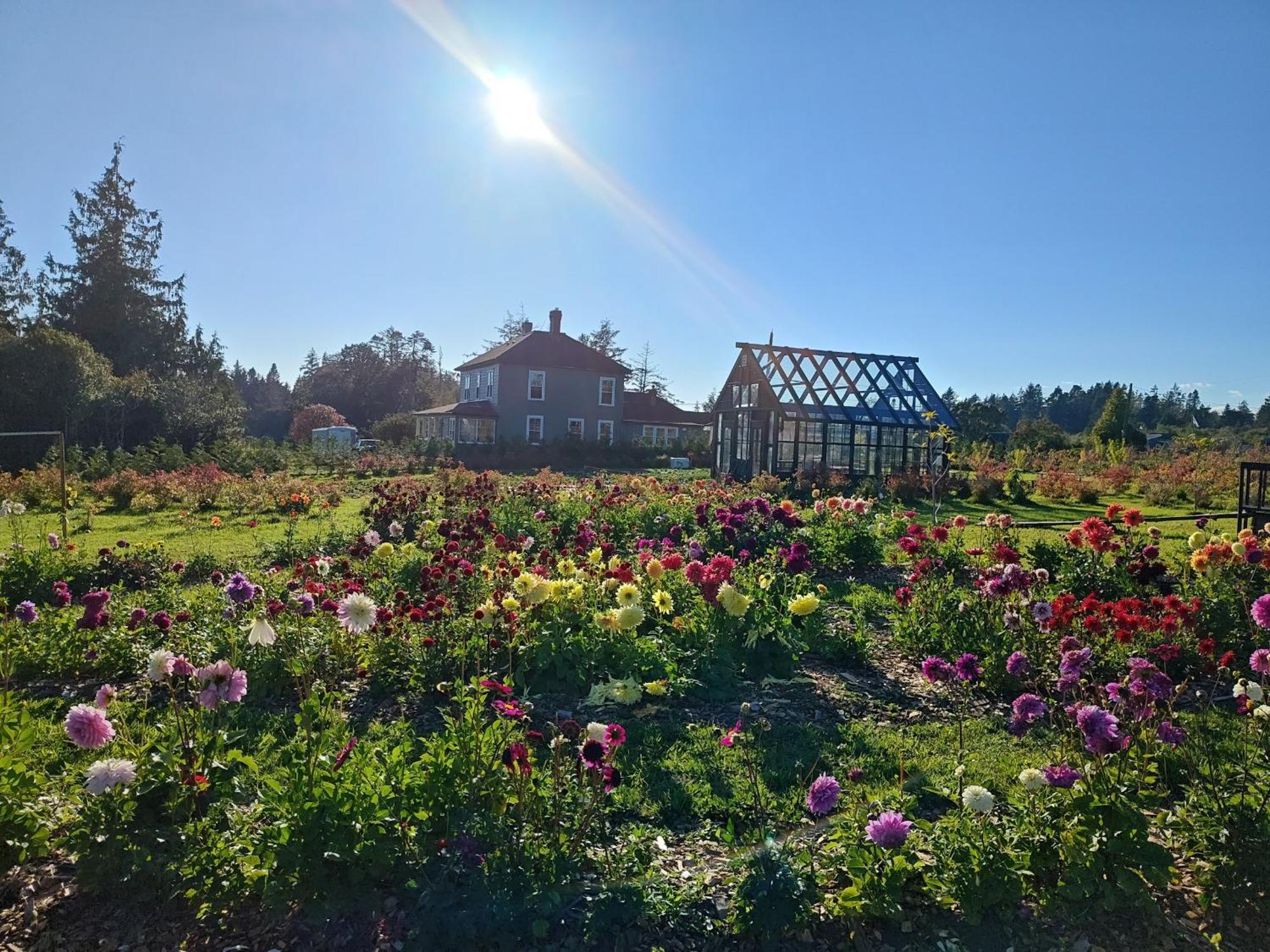 Woodside Farm Country Inn Sooke Bagian luar foto